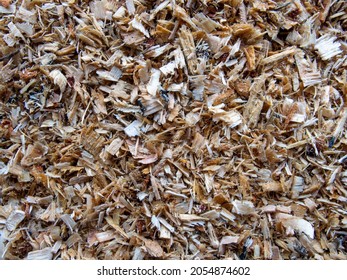 Wood Sawdust Macro Texture Photo