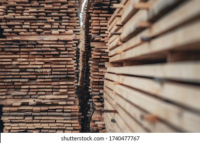 Wood And Sawmill. Large Round Logs Harvested For Construction. Production And Sale Of Building Materials. Stacked Boards And Logs. The Texture Of Wood.