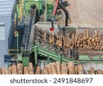 Wood sawmill, machinery for processing wood. Processing plant. A worker operating loader, modern wood processing factory, load freshly cut logs onto the production line for processing, manufacturing.