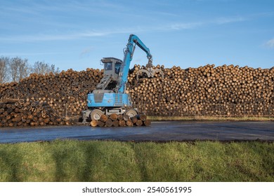 Wood sawmill, machinery for processing wood. Processing plant. A worker operating loader, modern wood processing factory, load cut logs. - Powered by Shutterstock