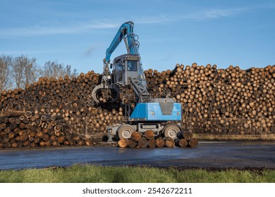 Wood sawmill, machinery for processing wood. Processing plant. A worker operating loader, modern wood processing factory, load cut logs. - Powered by Shutterstock