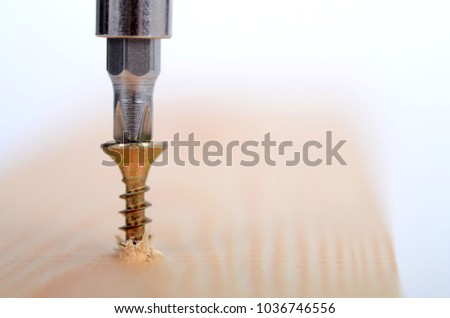 Wood Screw being screwed into a wood , Carpenter woodwork, screwing concept.