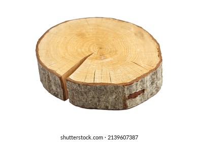 Wood slice with bark, cross section wood log isolated on white background