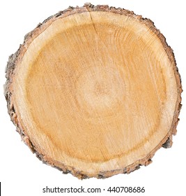 wood slice cross section with tree rings that show age organic background isolated tree stump circle circles circular natural tree plant history maple