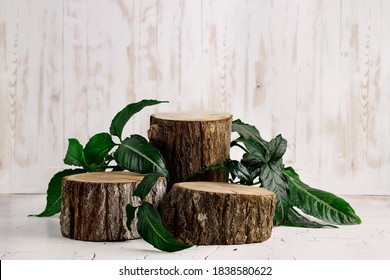 Wood Slice Podium And Green Leaves