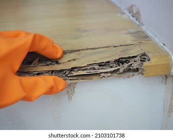 Wood stairs in house is decay becouse termites eat. closeup photo, blurred. - Shutterstock ID 2103101738