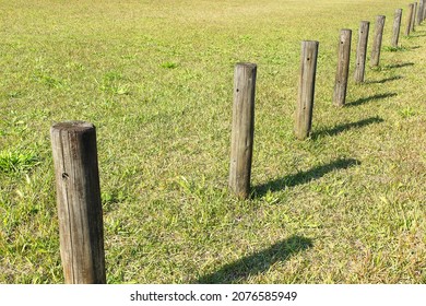 Wood Stake In The Park                