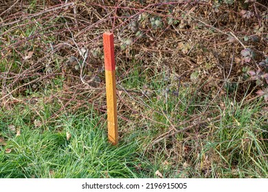 Wood survey stake painted in red for work on construction site - Shutterstock ID 2196915005