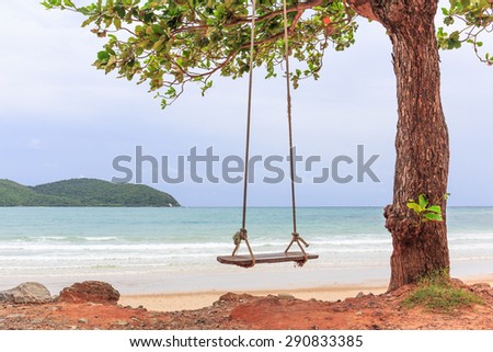 wood swing under the big tree beside sea beach nature background