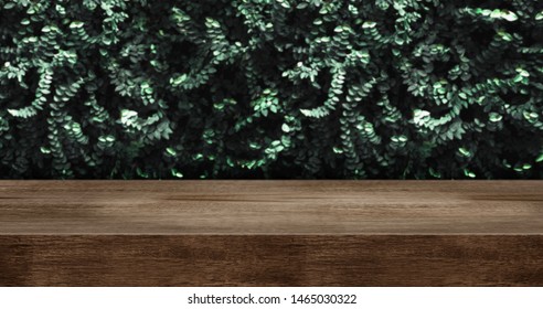 Wood Table With Green Leaf Wall Studio Background.dark Brown Wooden Countertop For Product Display Design Content.panoramic Banner For Advertise Product On Website.ecology Concept.3d Rendering