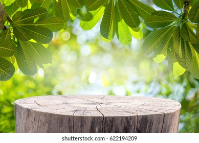 Wood table with Green leaves and Forest on the blurred background.Ready for product display. - Powered by Shutterstock