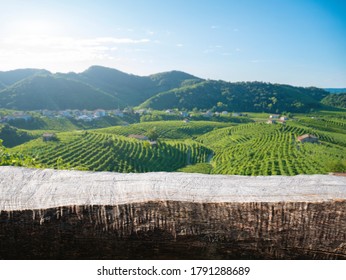 Wood Table In Summer Vineyard Country Landscape