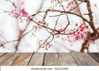 Winter Cherry Blossom Images Stock Photos Vectors Shutterstock