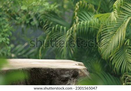 Wood tabletop counter podium floor in outdoors tropical garden forest blurred green palm leaf plant nature background.Natural product placement pedestal stand display,summer jungle paradise concept.