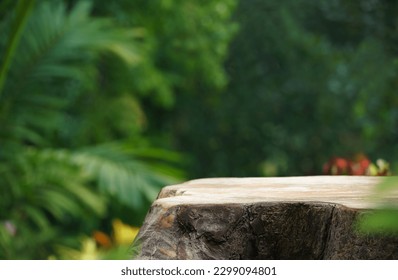 Wood tabletop podium floor in outdoors blur green leaf tropical forest nature landscape background.cosmetic natural product mock up placement pedestal stand display,jungle summer concept.