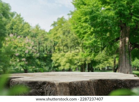 Wood tabletop podium floor in outdoors green leaf tropical forest nature landscape background.Organic healthy natural product present placement pedestal counter display,spring summer jungle concept.
