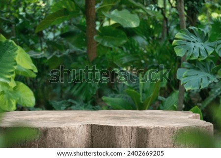 Wood tabletop podium floor in outdoors tropical garden forest blurred green leaf plant nature background.Natural product placement pedestal stand display,jungle paradise concept.