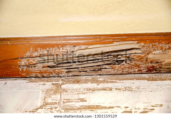 Wood is termite bites.Yellow room.The decaying wood\
is caused by termite bite.