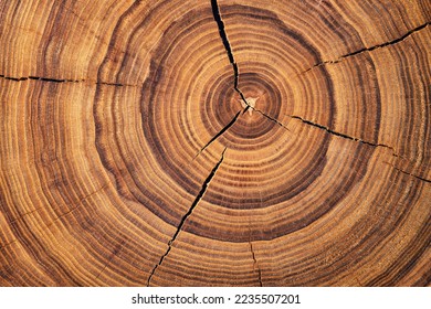 wood texture with annual rings, cracked surface of a felled stump background - Shutterstock ID 2235507201