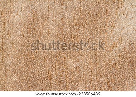 Similar – threshold Floor covering