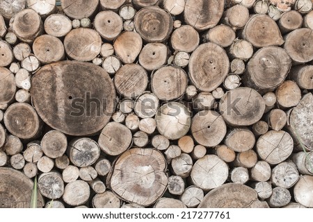 Wood texture background have many log that cut from big tree and small tree