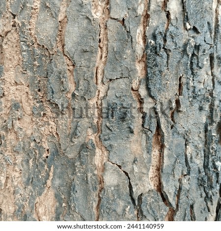 wood texture background. mixed with dark and brown color