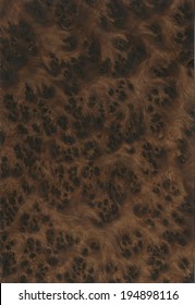 Wood Texture Burl