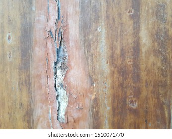 Wood Texture. Close Up Texture Of Broken Wood Panel.