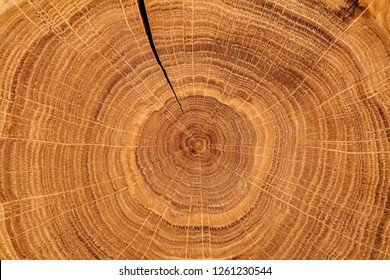 Wood texture grunge background