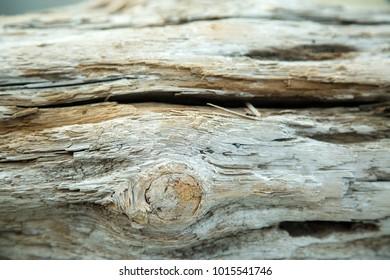 Wood Texture With Natural Pattern