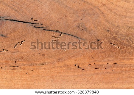 Similar – Image, Stock Photo Aerial View From Flying Drone Of People Crowd Relaxing On Algarve Beach In Portugal