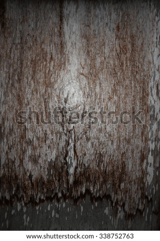 Similar – tropical bark Tree bark