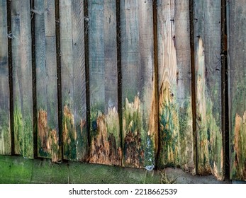 Wood Texture From Old Weathered Board Wall