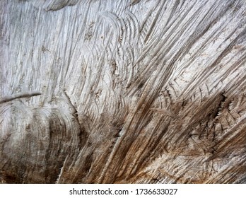 311 Texture Legno Background Images, Stock Photos & Vectors | Shutterstock