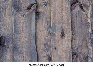 Wood texture. Surface of teak wood background