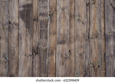 Wood texture. Surface of teak wood background