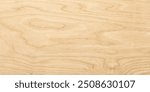 wood texture, top view. light wood background. natural pattern on a wooden surface