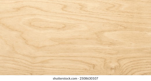 wood texture, top view. light wood background. natural pattern on a wooden surface