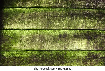 Wood texture, with weathered look, old and green