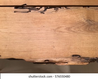 Wood Texture. Wooden Surface With Termite Holes.Old Edge Table.