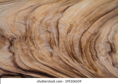 Wood Texture,tree Year Rings