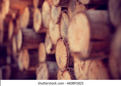 wood  timber  Background
