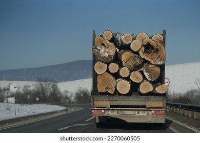 wood truck. illegally cut wood in Romania.
