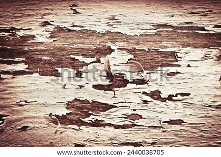 Wood, wall and texture with paint peeling off exterior of old, rough or rustic maintenance. Closeup of weathered detail, aging or damaged wooden surface of antique board, historic panel or structure