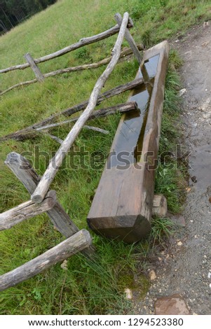 Similar – Image, Stock Photo Holzpaddel lehnt, halb von der Trauerweide bedeckt, an der sonnenwarmen Steinmauer.