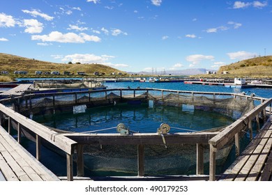 Wood Way Of The Salmon Farm In Twizel, New Zealand