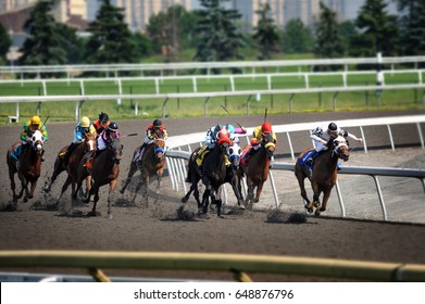 Woodbine, Toronto, Canada - June 17, 2010: Horse racing at Woodbine Racetrack, Canadian race track for thoroughbred and standard bred racing