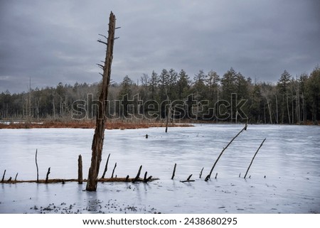 Similar – Image, Stock Photo Stream with dead tree trunks in autumn in gloomy mood, flowing water