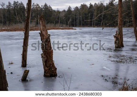 Similar – Image, Stock Photo Stream with dead tree trunks in autumn in gloomy mood, flowing water
