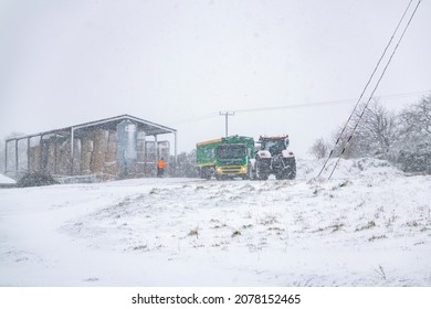 Woodbridge Suffolk UK February 07 2021: Farm Workers Trying To Take A Delivery While Fighting Against A Heavy Snow Storm And Blizzard